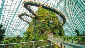 Tips dan Aktivitas Wajib Saat Berkunjung ke Gardens By The Bay Singapore