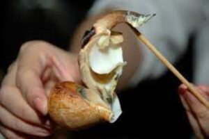 Rahasia Lezat Siput Gonggong Batam, Kuliner Khas Kepulauan Riau yang Wajib Dicoba!