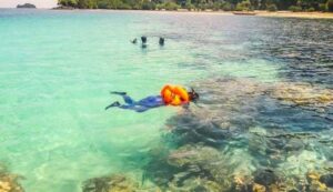 Pulau Petong, Surga Snorkeling Tersembunyi di Batam dengan Keindahan Bawah Laut yang Menakjubkan
