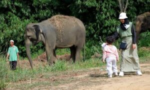 Safari Lagoi Bintan: Bertemu Harimau Benggala, Naik Gajah, hingga Jelajah Satwa Langka