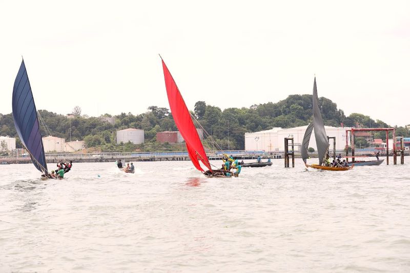 Tradisi Laut Batam! Lomba Sampan Layar & Speedboat Race Jadi Magnet Wisata di Belakang Padang