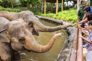 Pertama Kali Liburan ke Luar Negeri? Ini 5 Destinasi Singapura yang Ramah Anak & Bikin Semua Happy