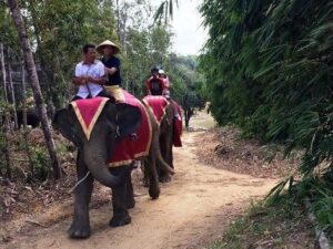 Safari Lagoi Bintan: Bertemu Harimau Benggala, Naik Gajah, hingga Jelajah Satwa Langka