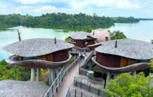 6 Destinasi Wisata Terbaru di Singapura 2025, Ada Minion Land hingga Disney Cruise yang Super Mewah!