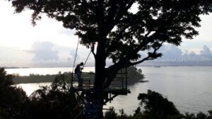 Tersembunyi di Bukit Harimau, Tangga 1000 Taman Habibie Tawarkan Wisata Murah dengan View Kelas Dunia!