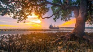 5 Tempat Terbaik Menikmati Sunset di Batam, Nomor 5 Paling Ikonik!