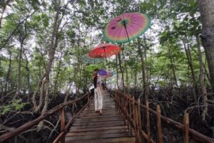 Disulap Warga Jadi Ikon Wisata! Mangrove Pandang Tak Jemu Bakau Serip Kini Jadi Kebanggaan Batam
