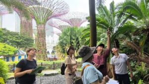 Gardens by the Bay Singapura Hadirkan Tur Baru Akhir Pekan, Cuma Ada di Awal Tahun dan Wajib Booking!