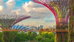 Gardens by the Bay Singapura Hadirkan Tur Baru Akhir Pekan, Cuma Ada di Awal Tahun dan Wajib Booking!