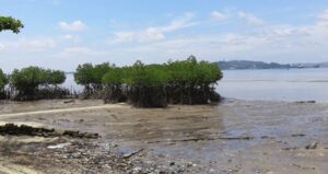 Pantai Pasir Putih di Belakang Padang Batam, Destinasi Healing yang Mulai Dilirik Wisatawan