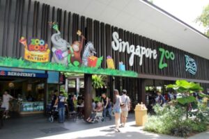 Bukan Kebun Binatang Biasa! Ini Daya Tarik Singapore Zoo yang Bikin Pengunjung Betah