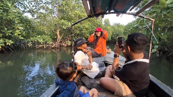 Serasa Menyusuri Hutan Amazon, Wisata Mangrove Tanjung Piayu Batam Jadi Tempat Healing Favorit Akhir Pekan