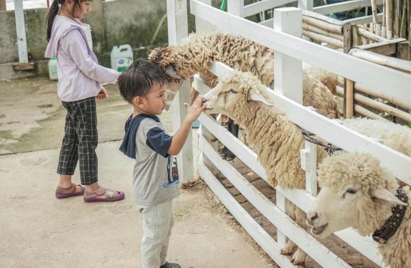 Bukan Sekadar Kebun Binatang, Batam Zoo Paradise Bikin Anak Bisa Pegang Hewan dan Kasih Makan Hewan