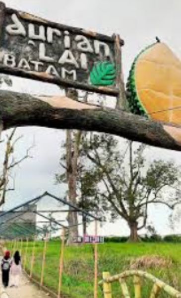 Liburan Anti Mainstream di Batam: Petik Buah, Kuliner Lezat, hingga Camping Seru!