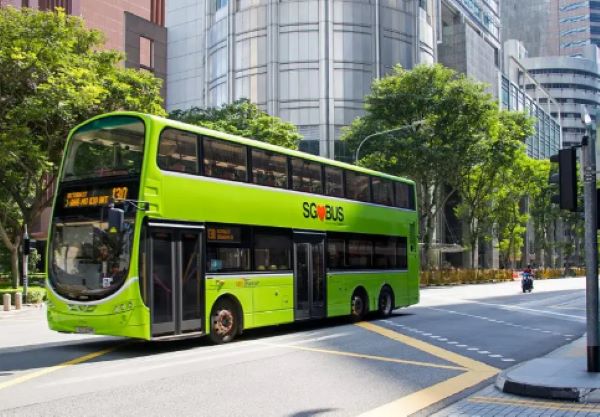 Cara Naik Bus di Singapura untuk Pemula, Bisa Pakai Kartu Debit Indonesia Tanpa Ribet