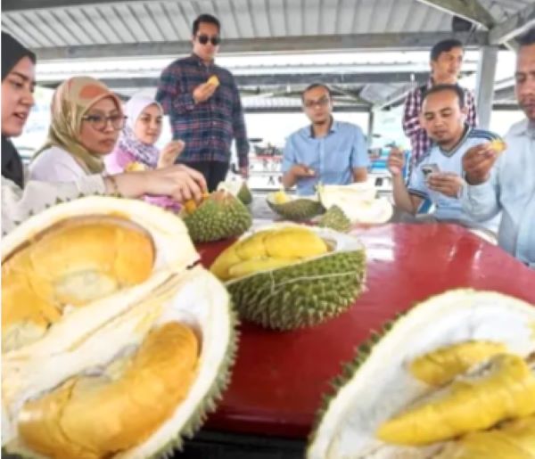 Liburan ke Malaysia Saat Tsunami Durian! Musang King Dijual Mulai Rp64 Ribuan, Durian Lokal Cuma Rp8 Ribu