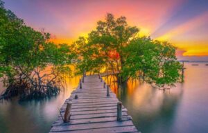 Liburan Murah di Batam! Ini Pantai Terdekat dari Batam Center dengan View Singapura dan Sunrise Cantik