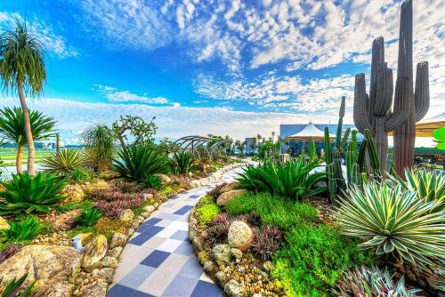 Bukan Cuma Air Terjun! Ini Rahasia Tersembunyi Bandara Changi Singapura Jadi Terbaik Dunia 14 Kali