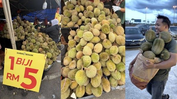 Liburan ke Malaysia Saat Tsunami Durian! Musang King Dijual Mulai Rp64 Ribuan, Durian Lokal Cuma Rp8 Ribu