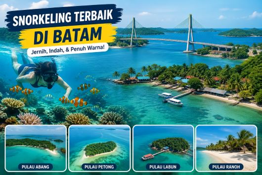 Surga Bawah Laut Batam! Ini Rekomendasi Pulau Terbaik untuk Snorkeling