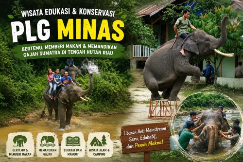 Liburan Anti-Mainstream di Riau, Bisa Memandikan Gajah Sumatra di PLG Minas