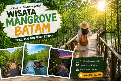 4 Wisata Mangrove Batam yang Lagi Diburu Wisatawan, Ada Hutan Bakau Berusia Ratusan Tahun