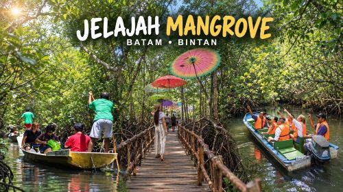 Wisata Mangrove di Batam dan Bintan, Jelajahi Hutan Bakau hingga Berburu Kunang-Kunang